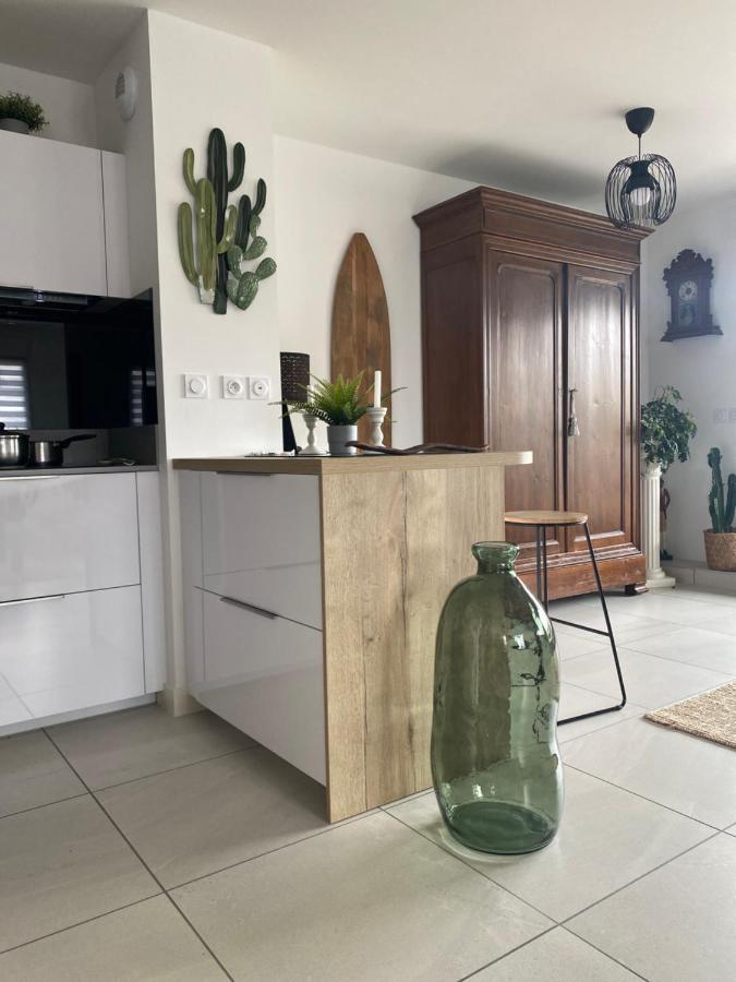 Chambre D'Hote Cosy Hiriburu Saint-Pierre-dʼIrube エクステリア 写真