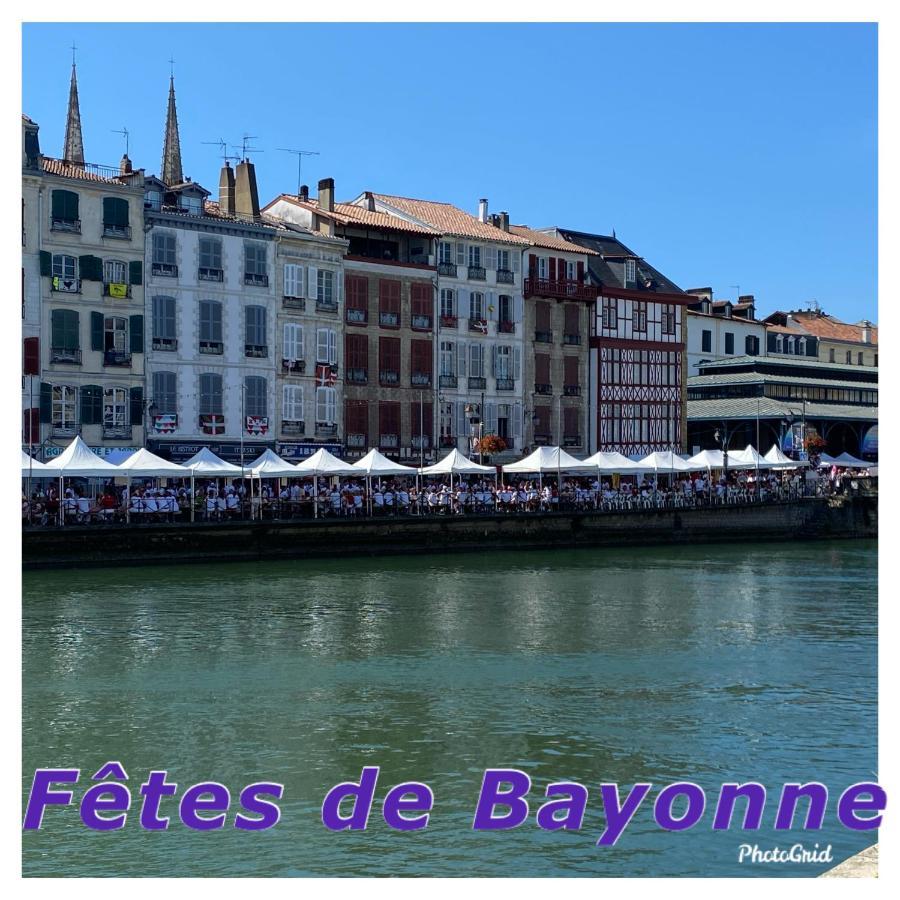 Chambre D'Hote Cosy Hiriburu Saint-Pierre-dʼIrube エクステリア 写真